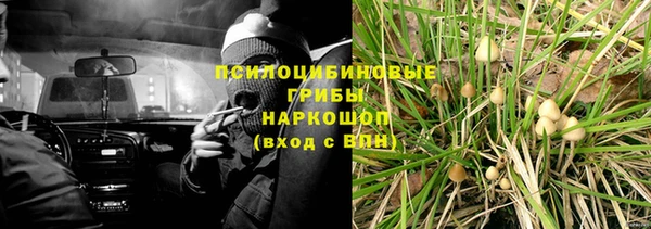тгк Михайловск