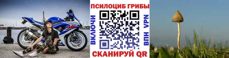 Галлюциногенные грибы прущие грибы  ОМГ ОМГ как зайти  Ядрин 